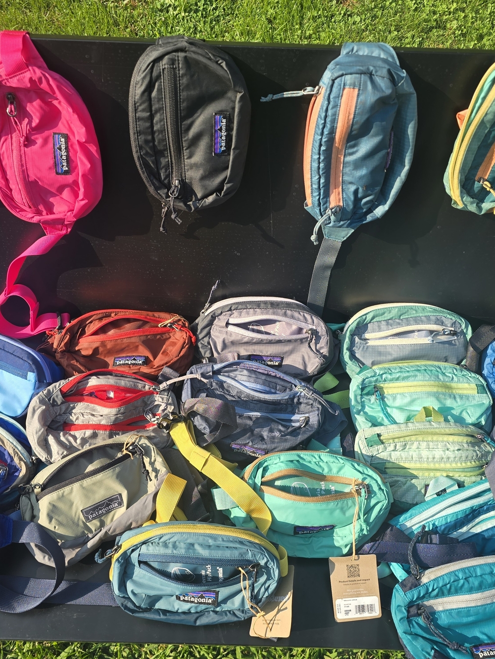 Patagonia Pink, Black & Teal Waist Packs Assorted Hip Pack Crossbody